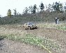 nhled -Offroad maraton - Subaru Leone