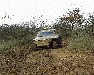 nhled -Offroad maraton - Subaru Leone